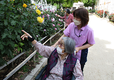 ばら花見