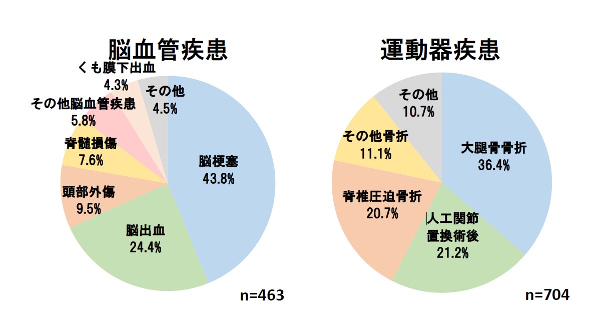 主な疾患　回復期病棟